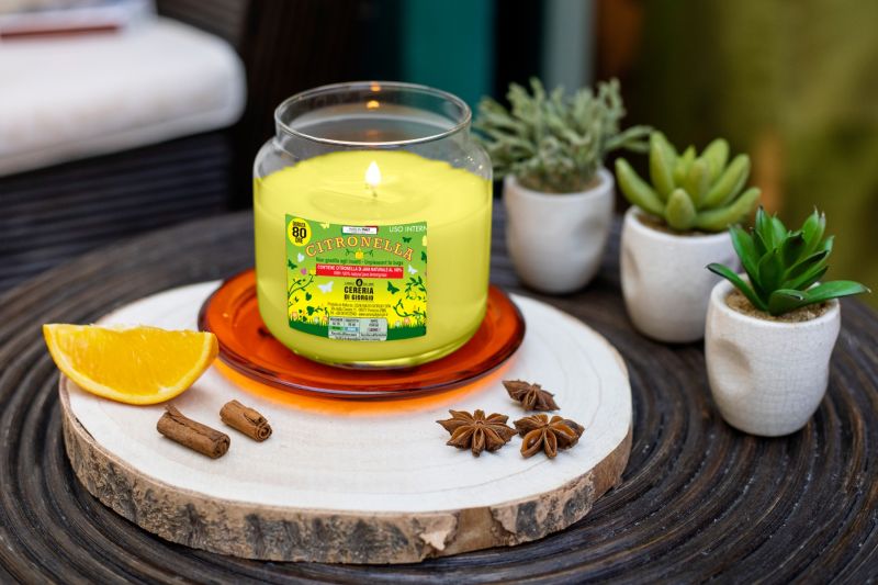 Giara Citronella - allontana gli insetti- 80 ORE